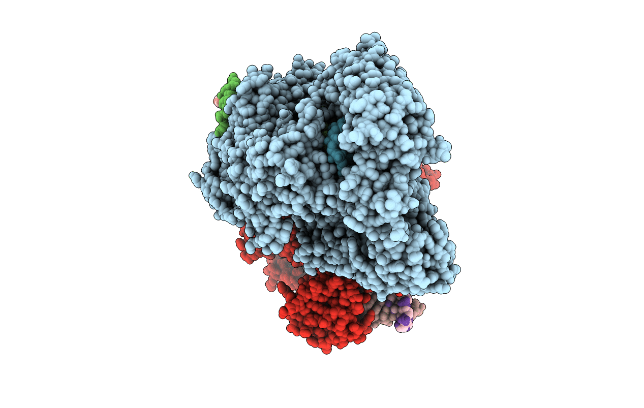 5XUZ image