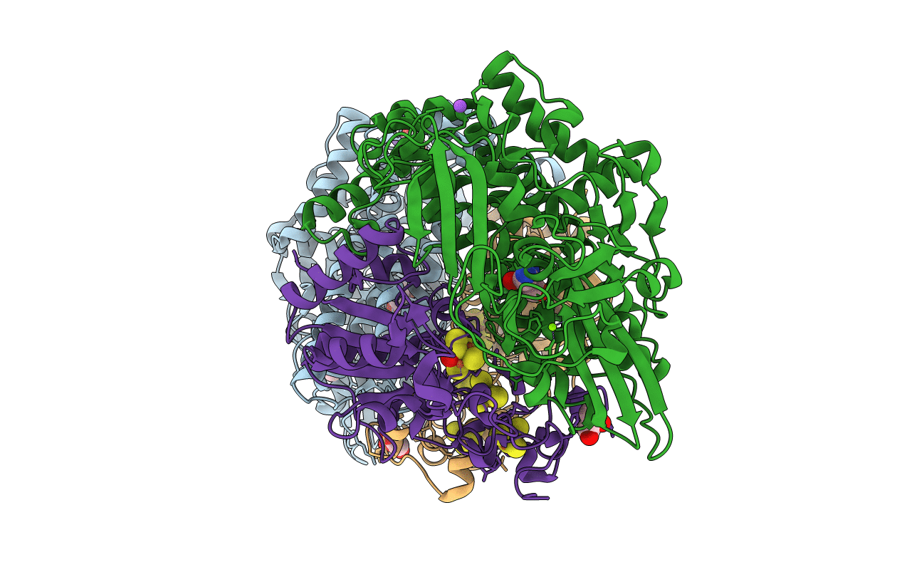 5XVD image