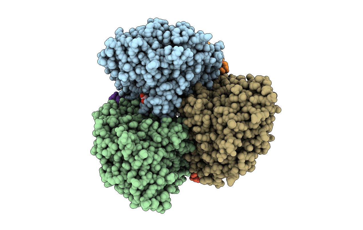5XVI image
