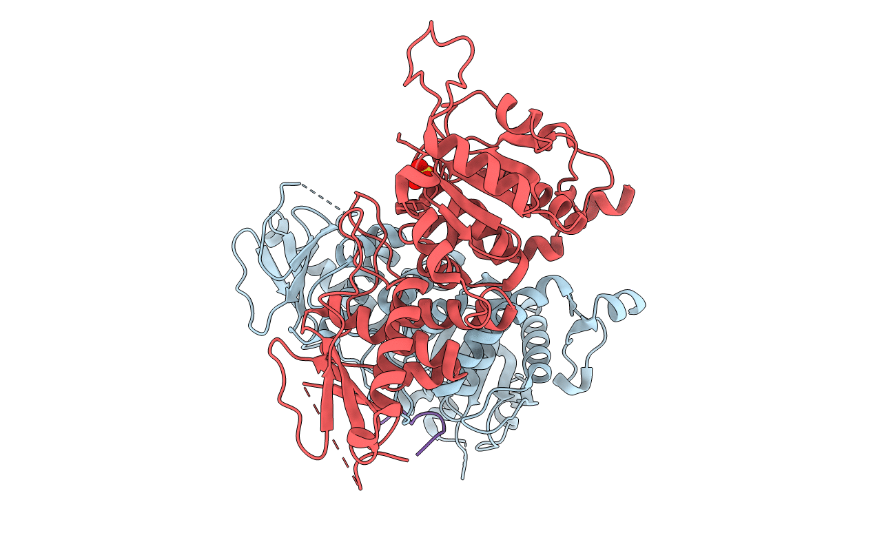 5XW5 image