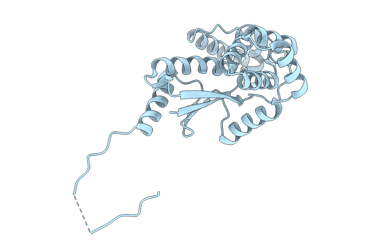 5XWH image