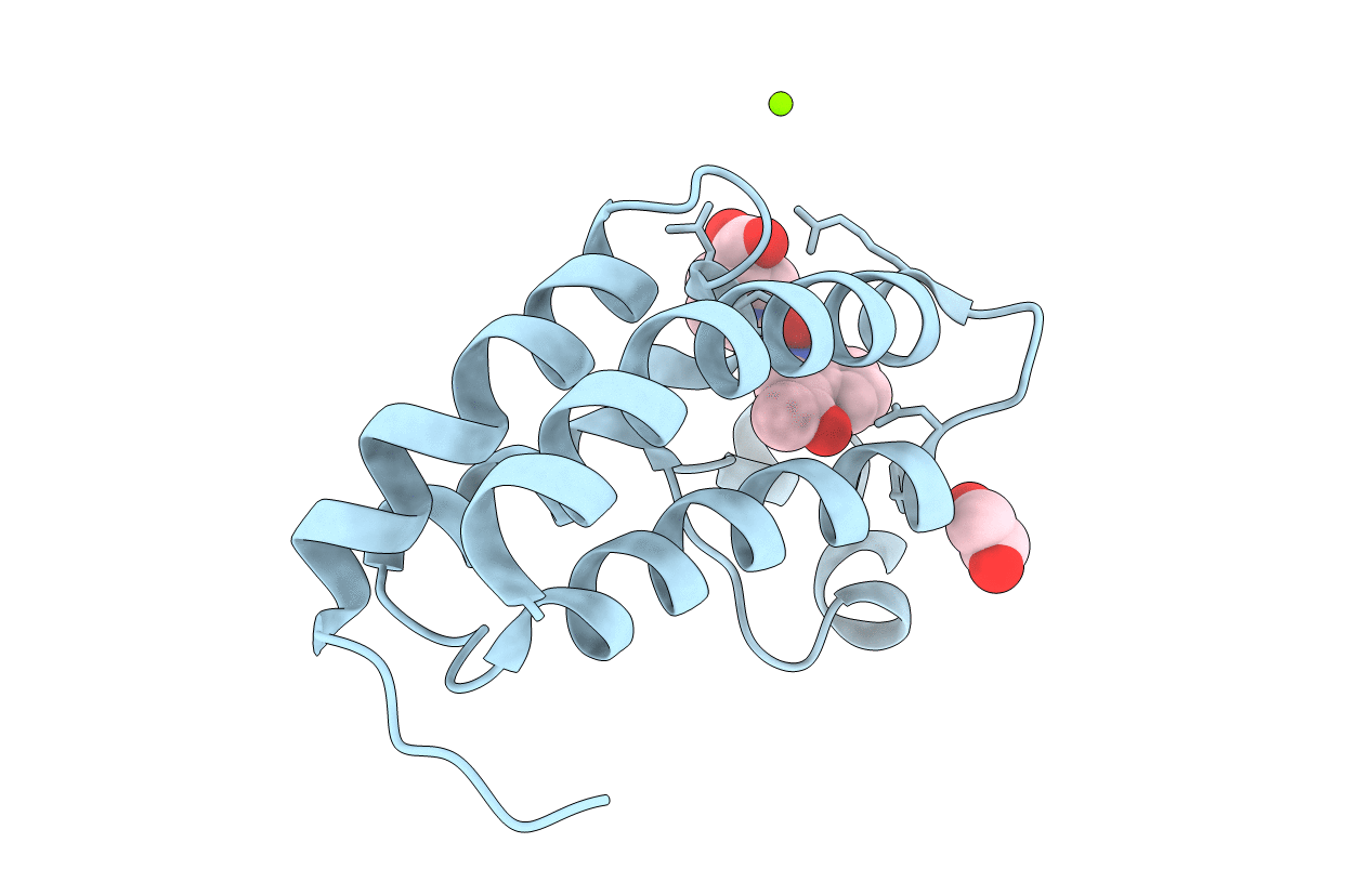 5XXH image