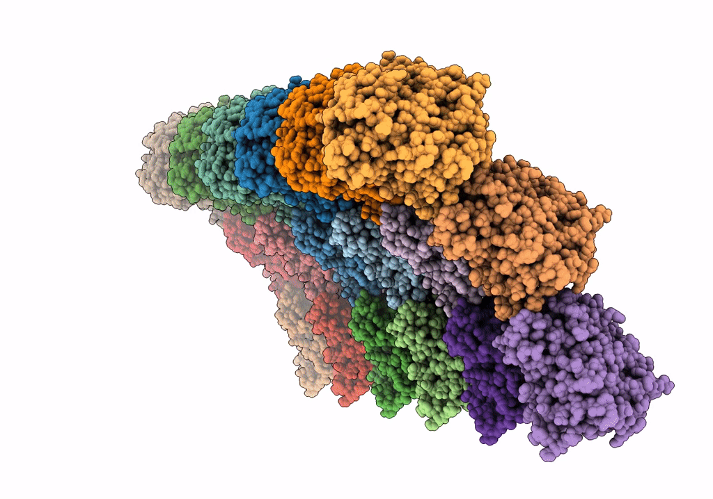 5XXT image