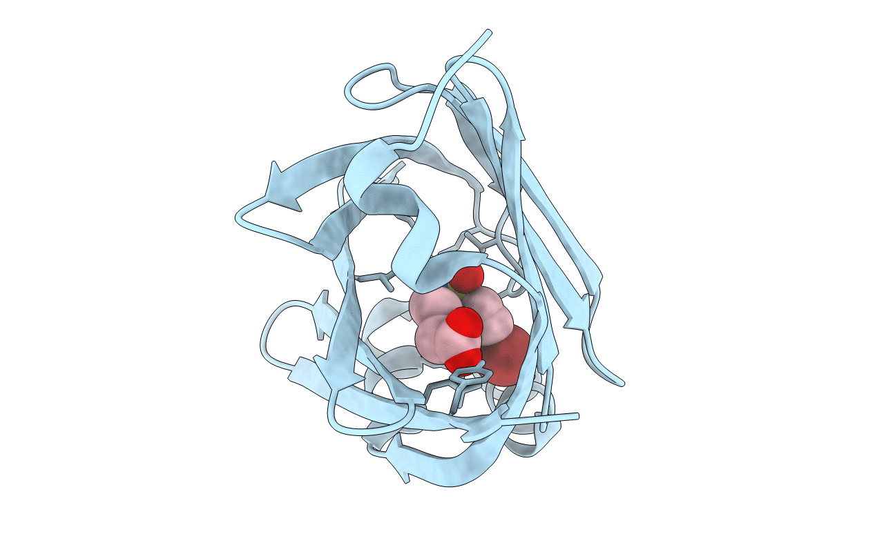 5Y13 image
