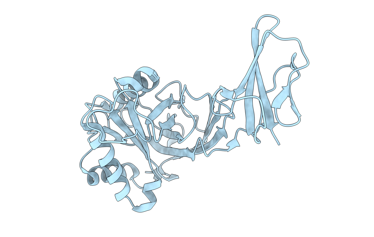 5Y1A image