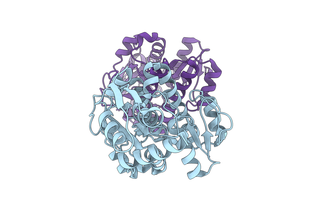 5Y1D image