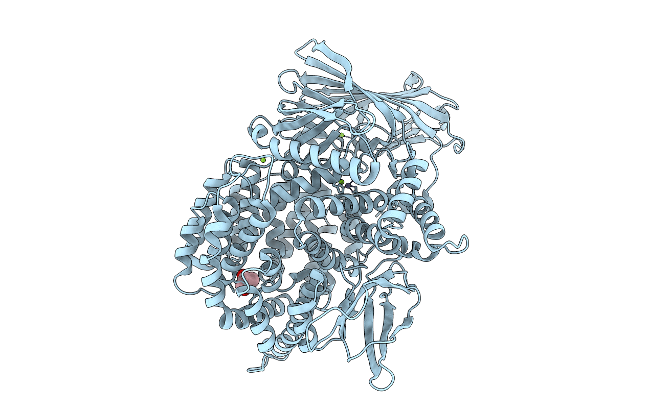 5Y1W image