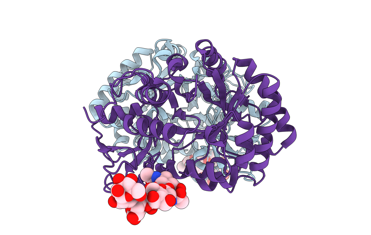 5Y2A image
