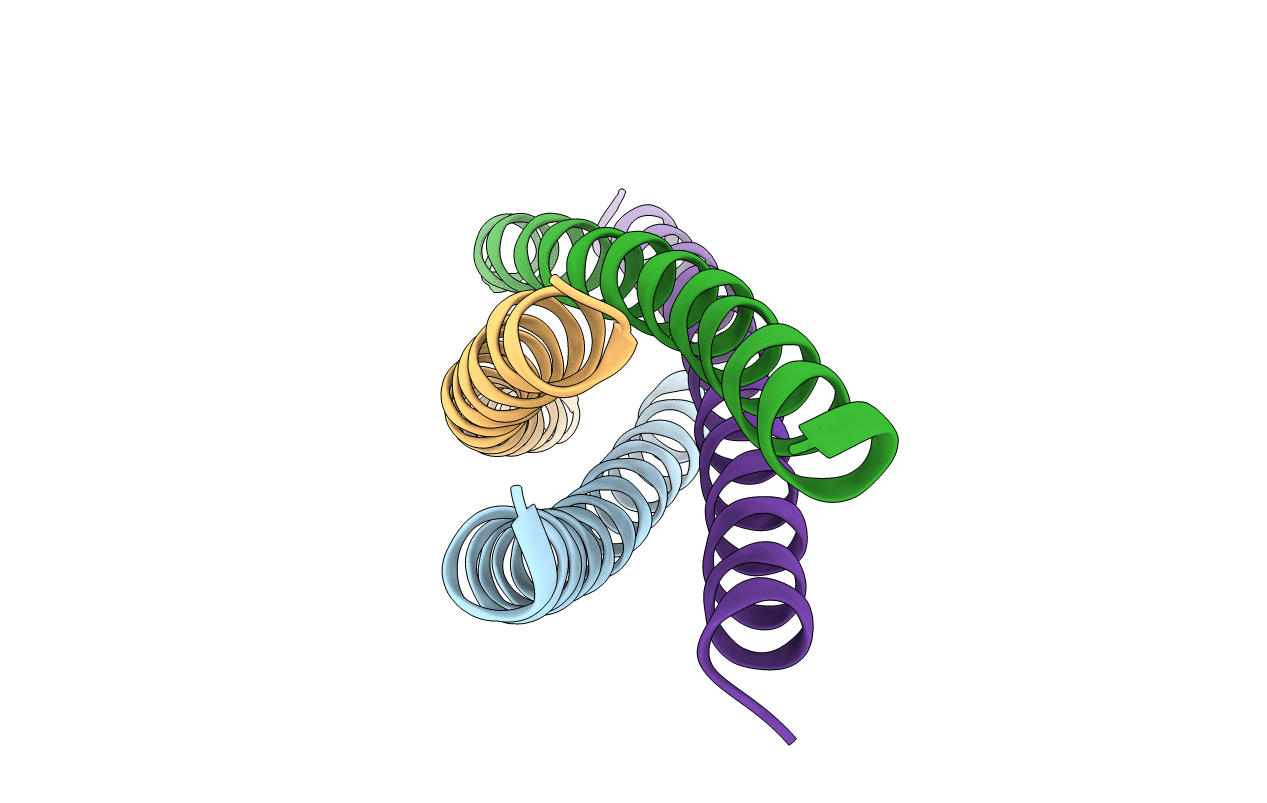 5Y2E image