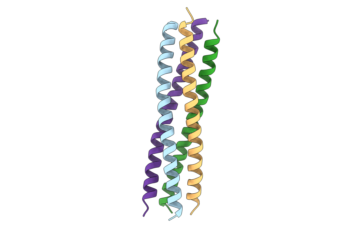 5Y2H image