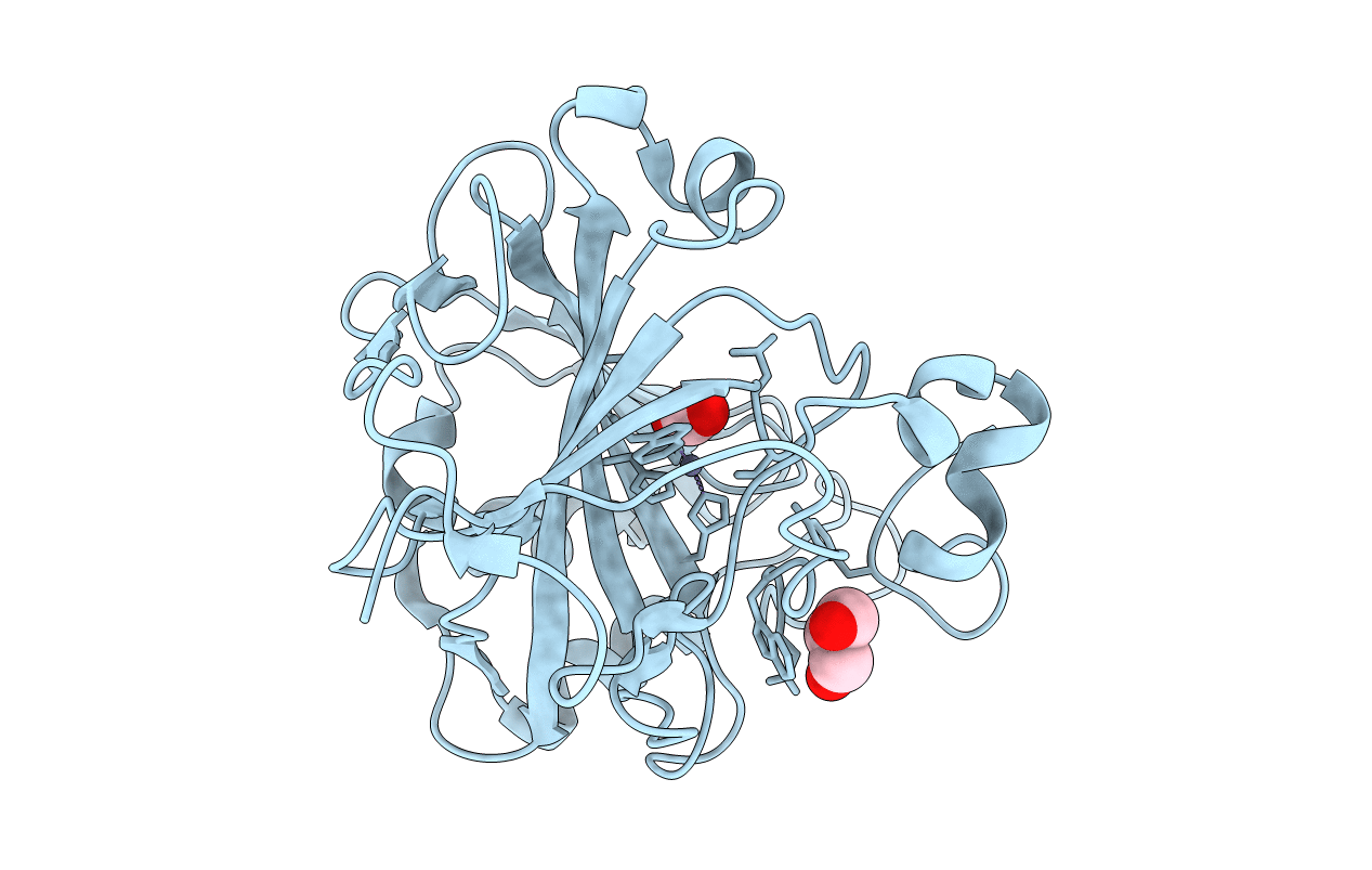 5Y2R image