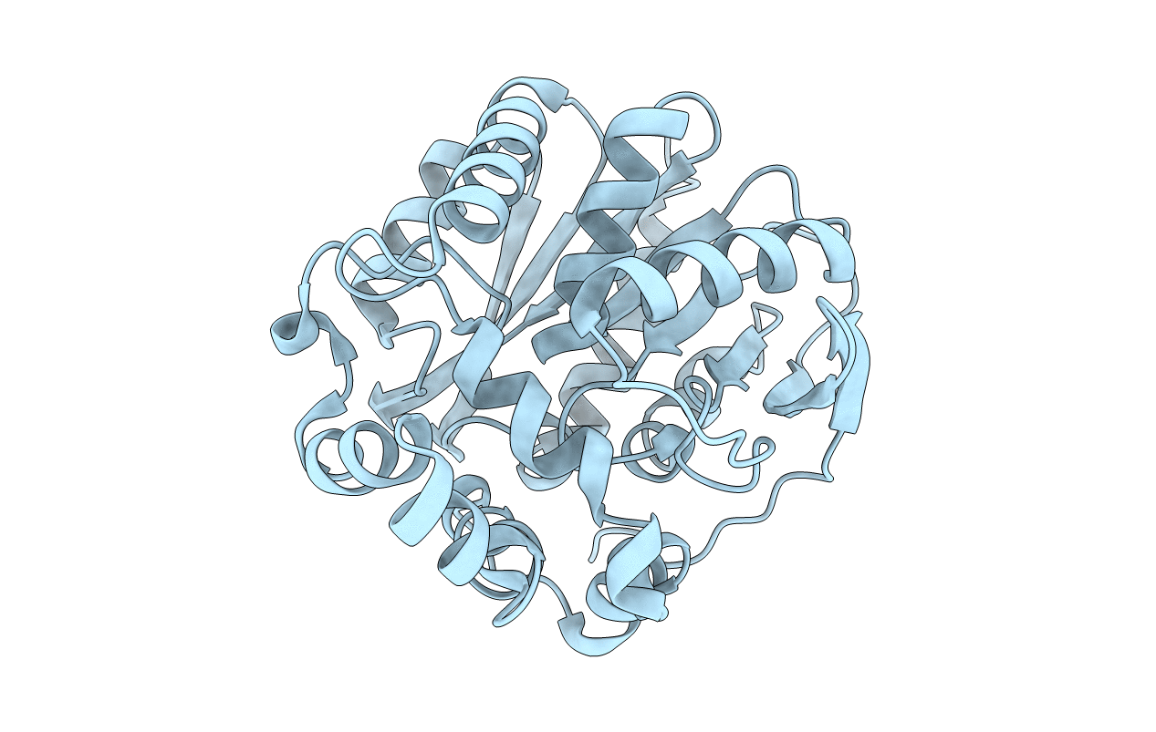 5Y2X image