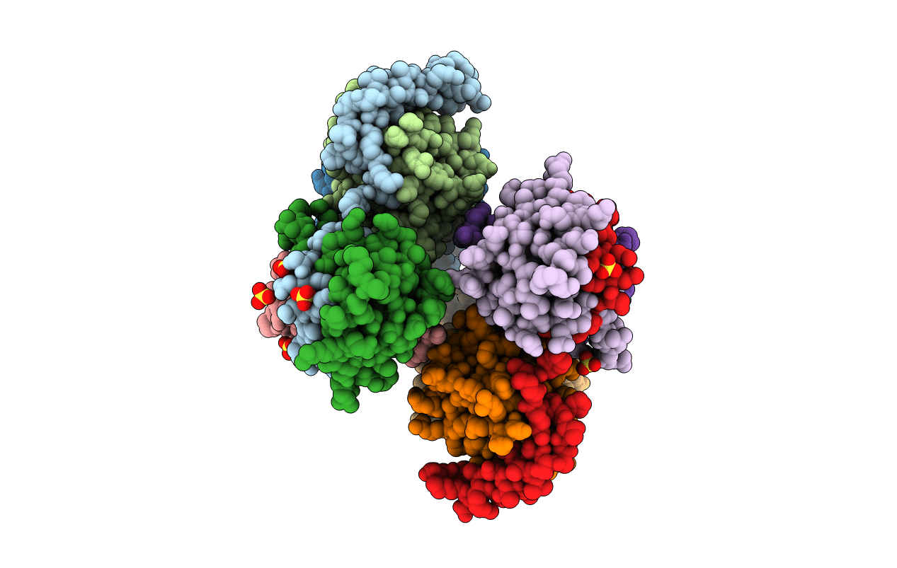 5Y3A image