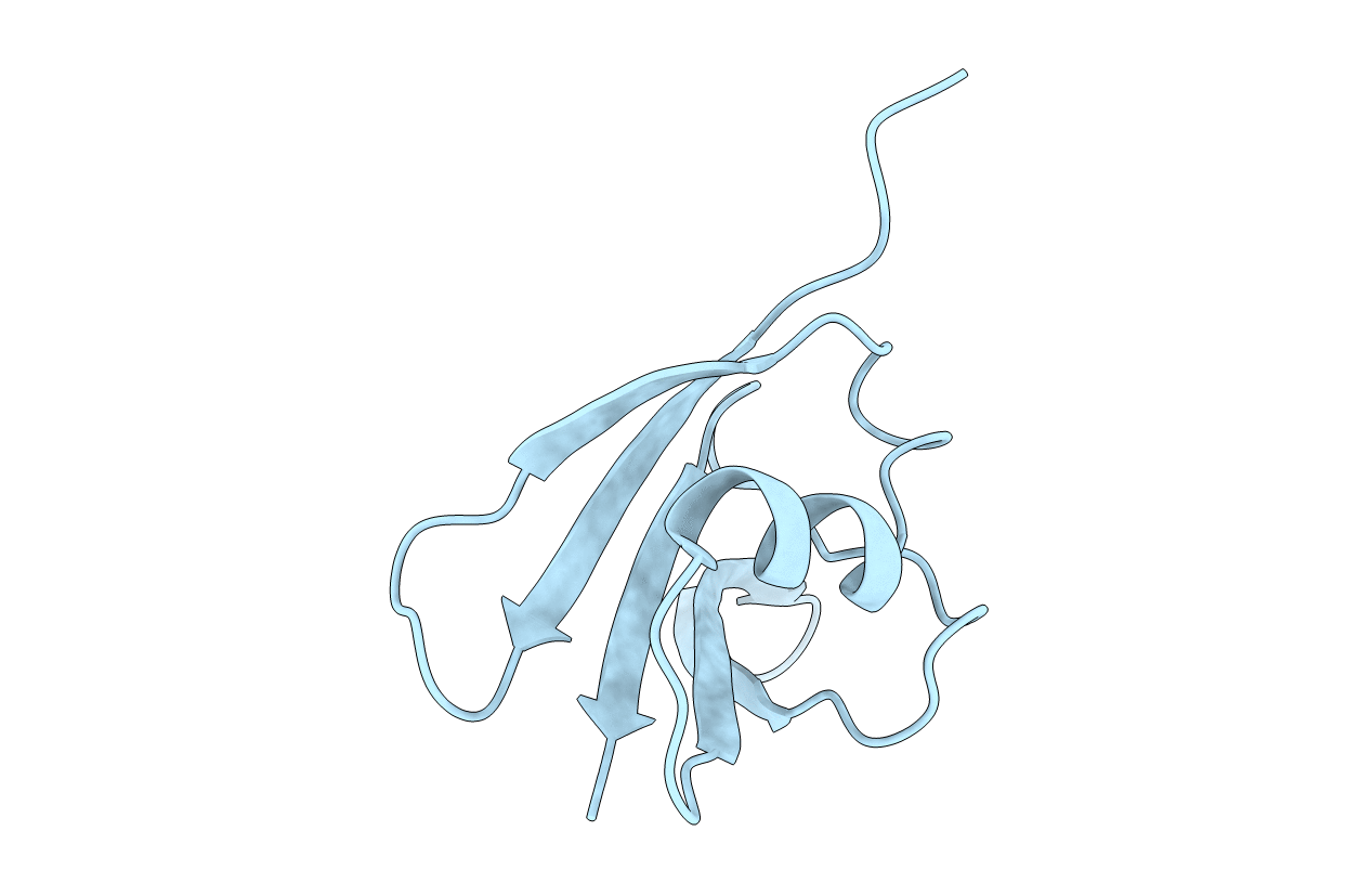 5Y3C image