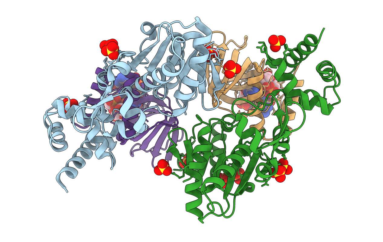 5Y4R image