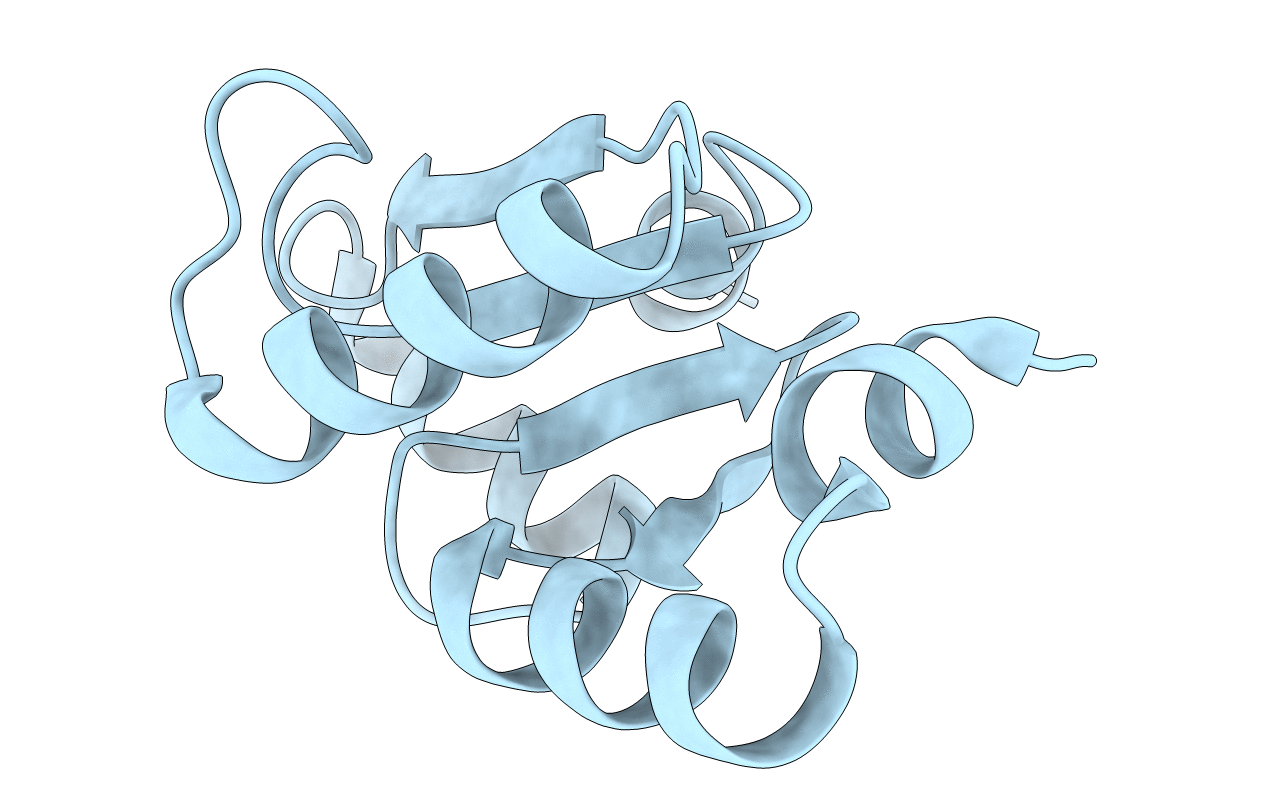 5Y4U image