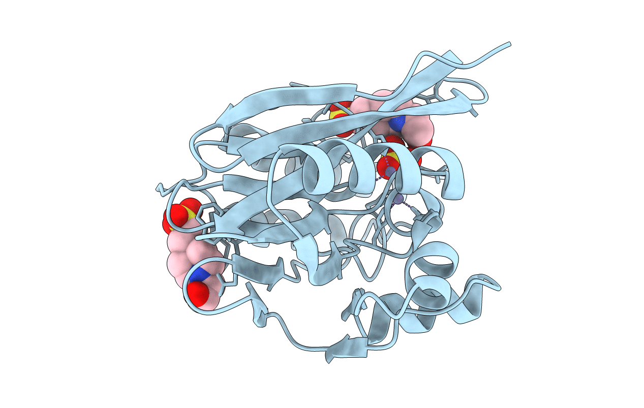 5Y5B image