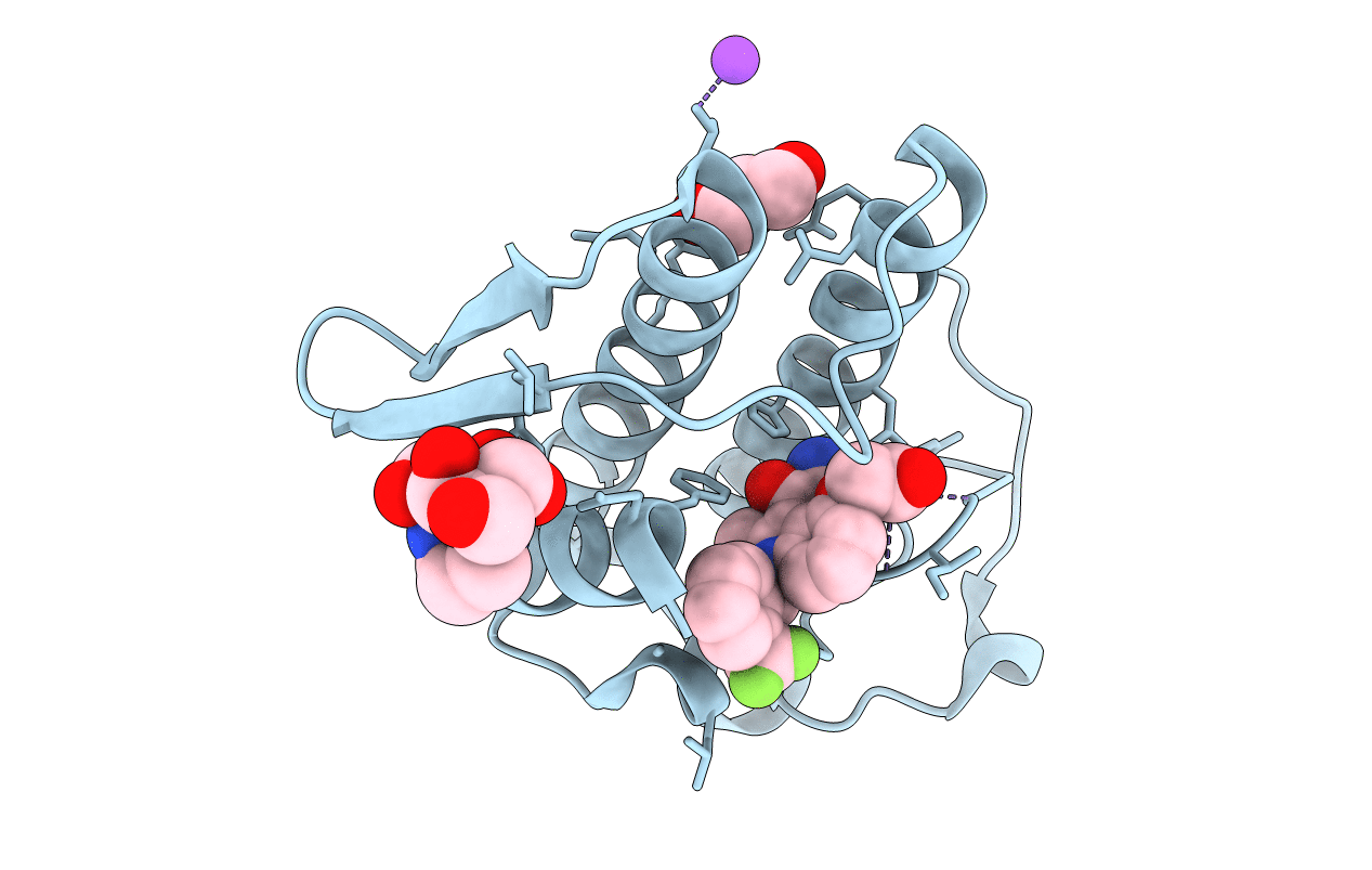 5Y5E image