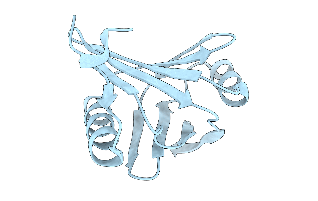 5Y6H image