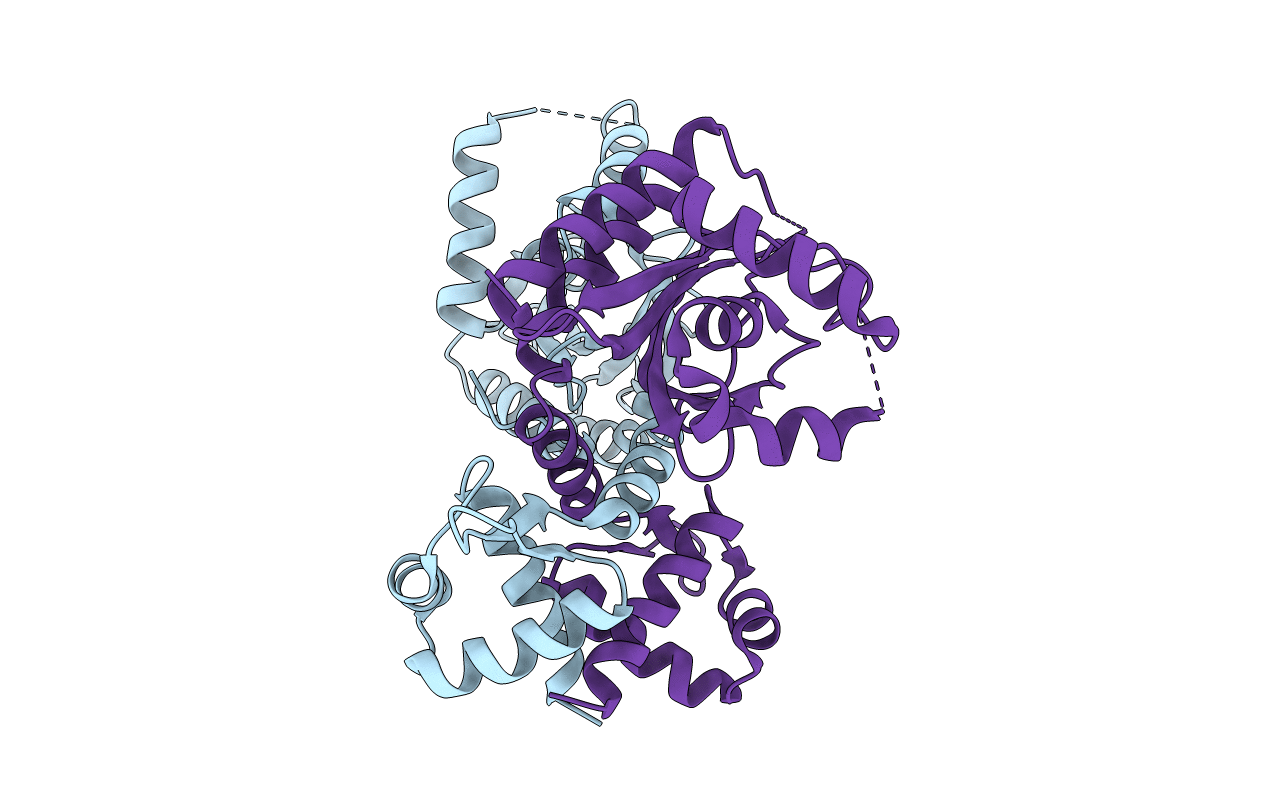 5Y6I image