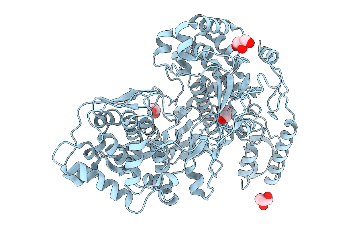 5Y6R image