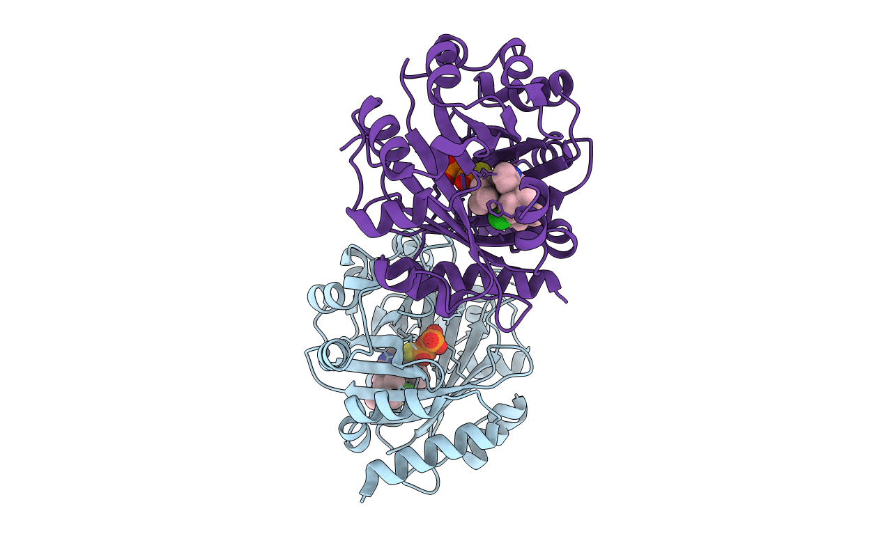 5Y7C image