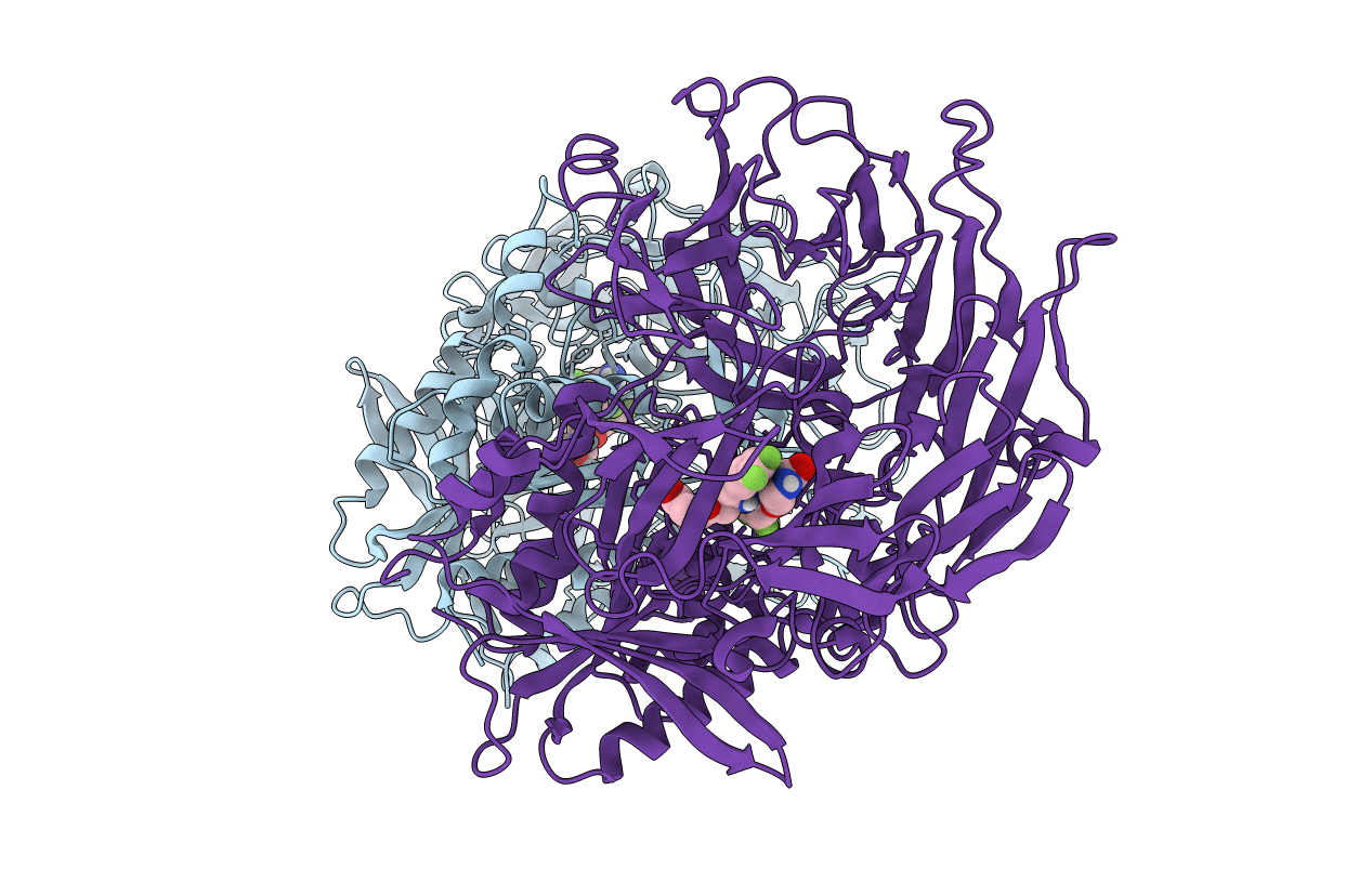 5Y7H image