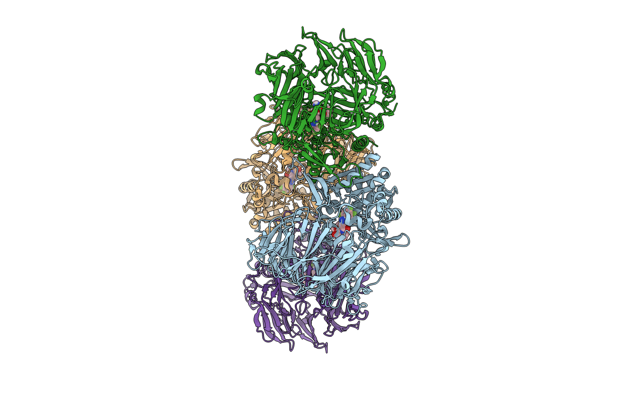 5Y7J image