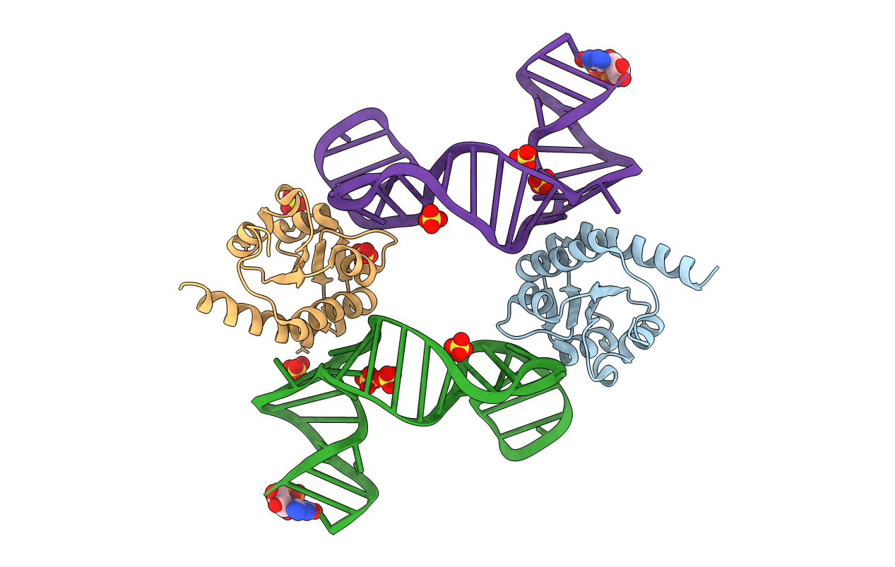 5Y7M image