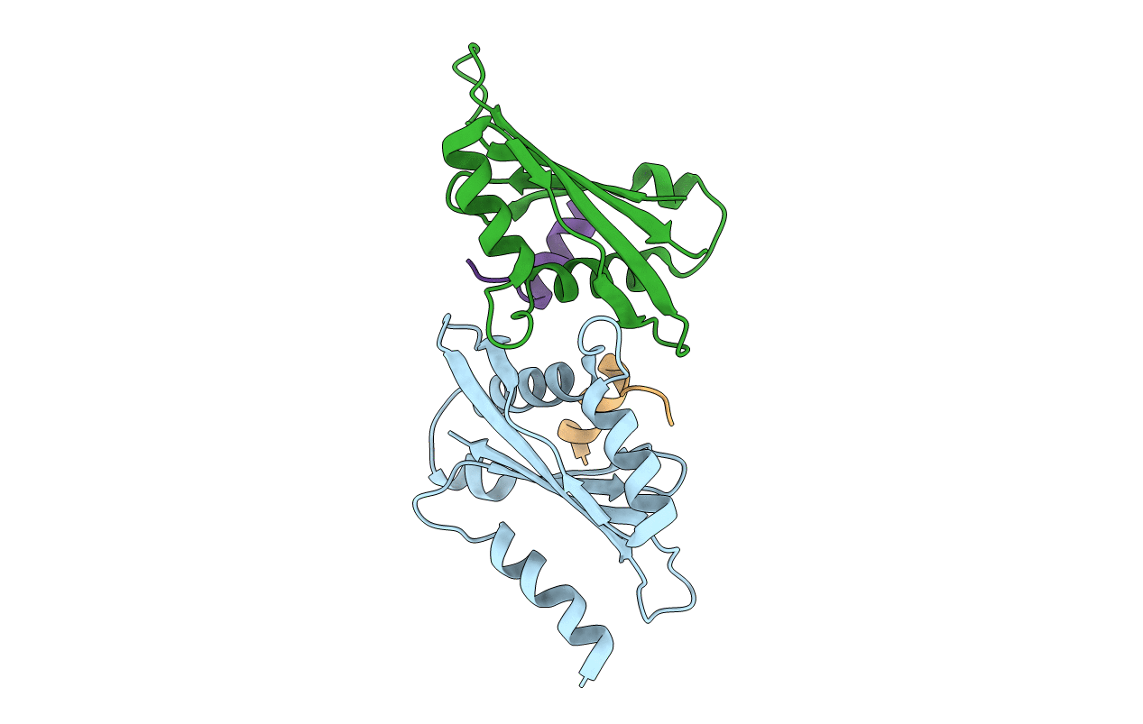 5Y7W image