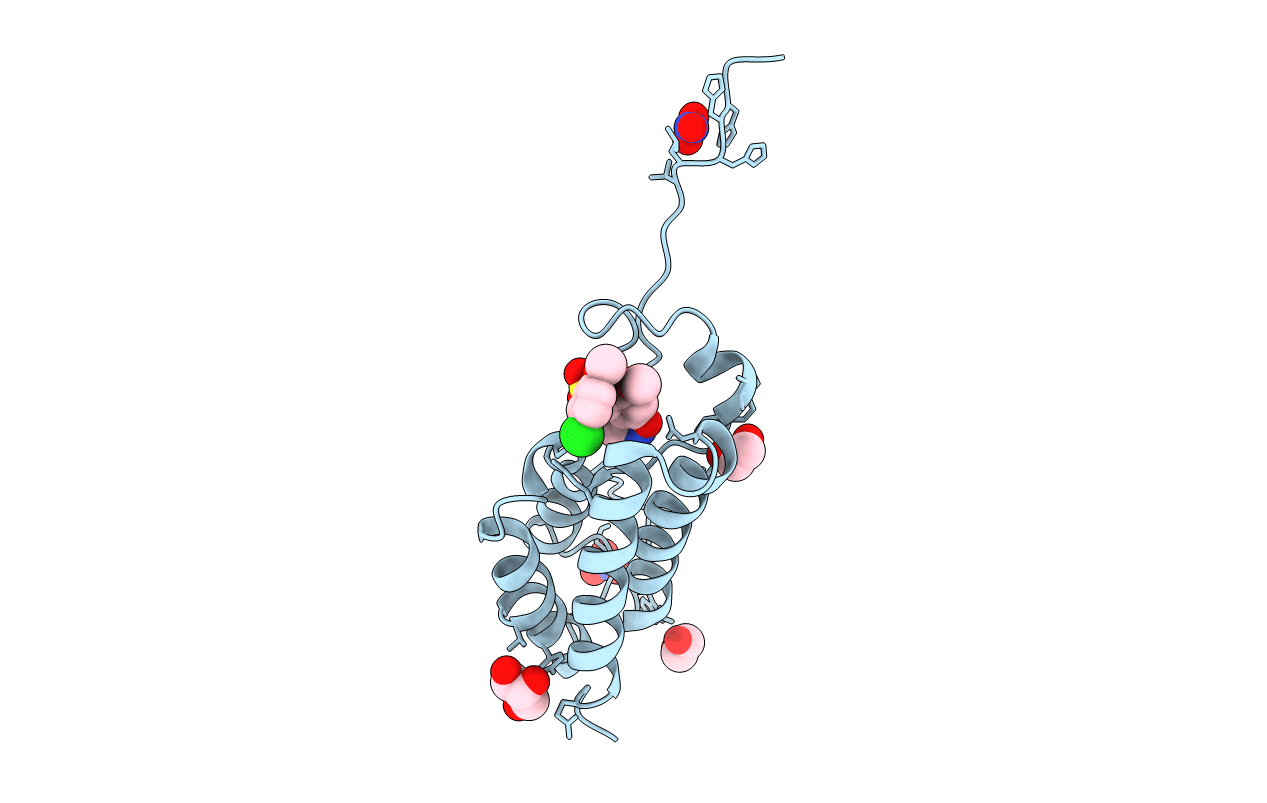 5Y8C image