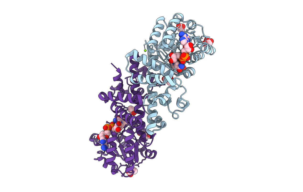 5Y8H image