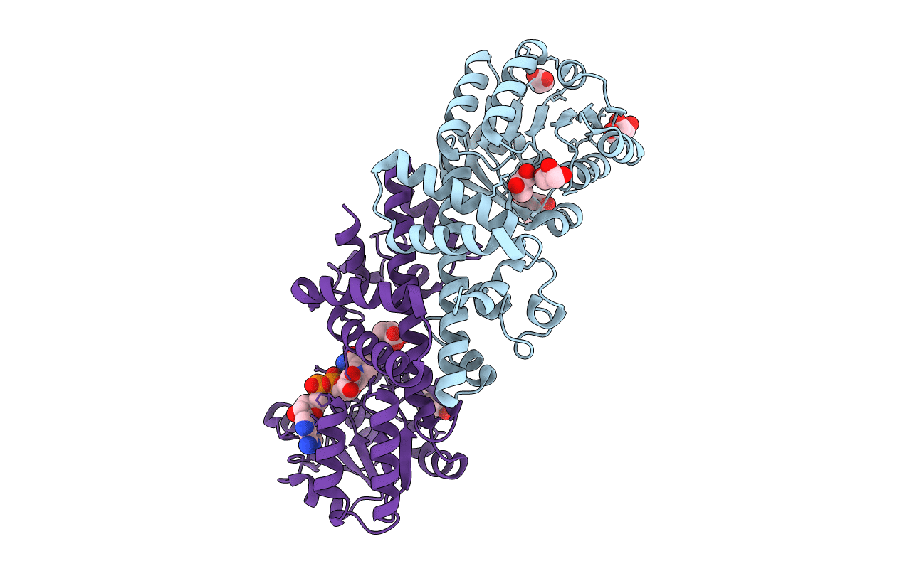 5Y8M image