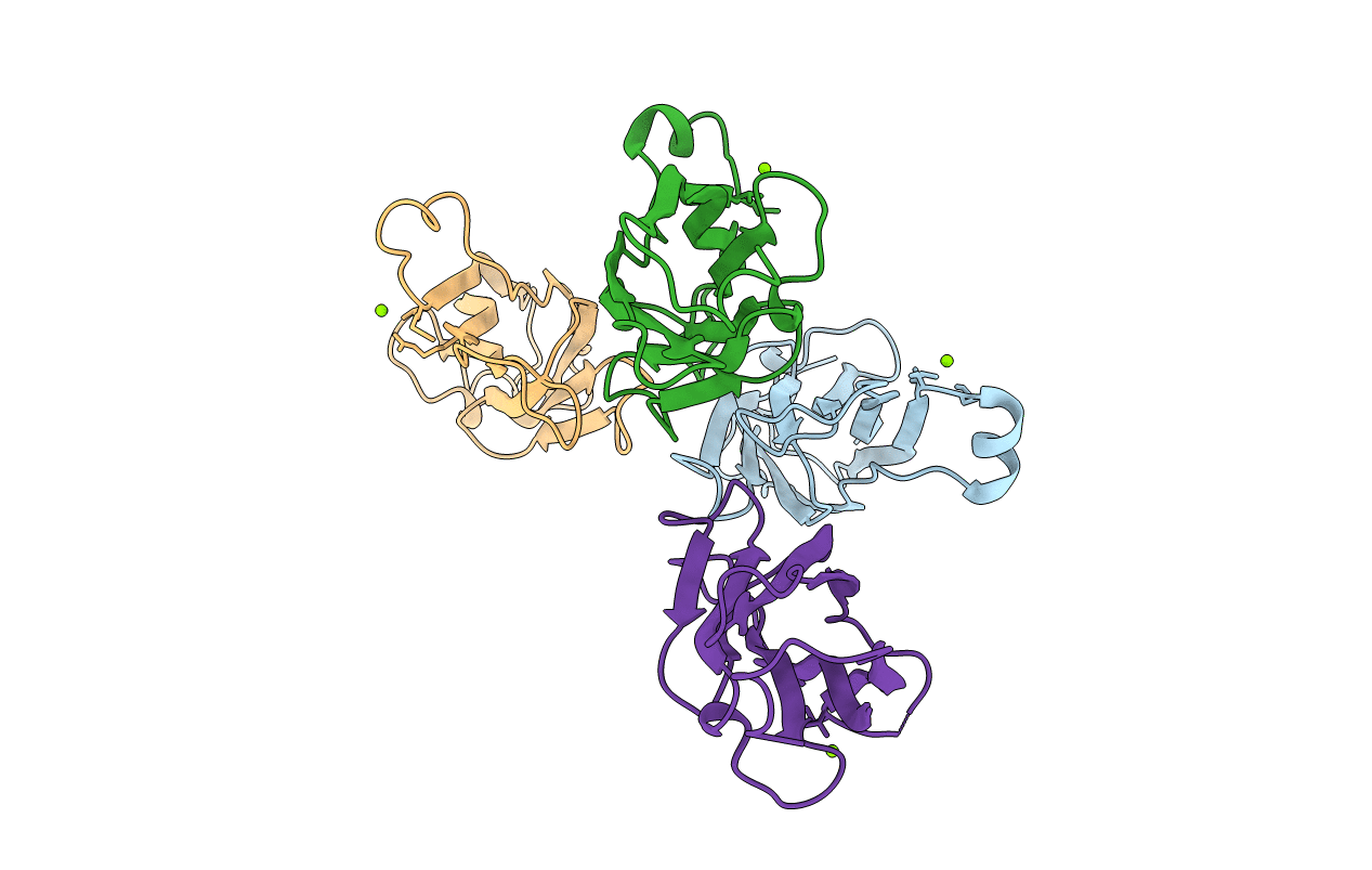 5Y8V image