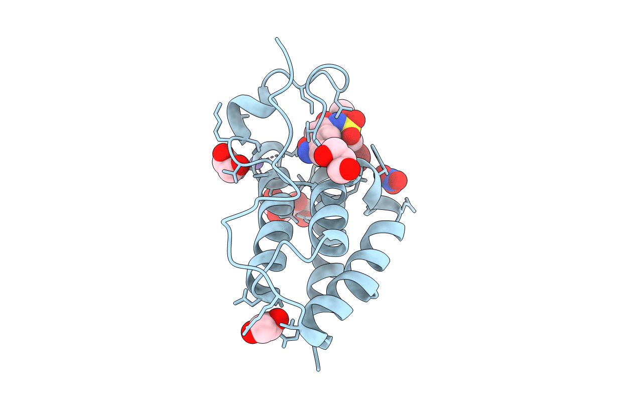5Y8W image