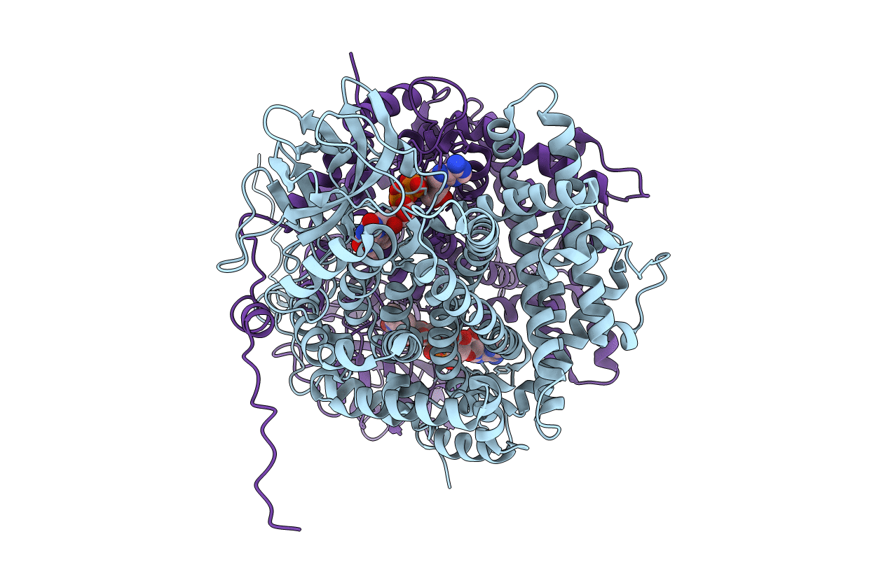 5Y9D image