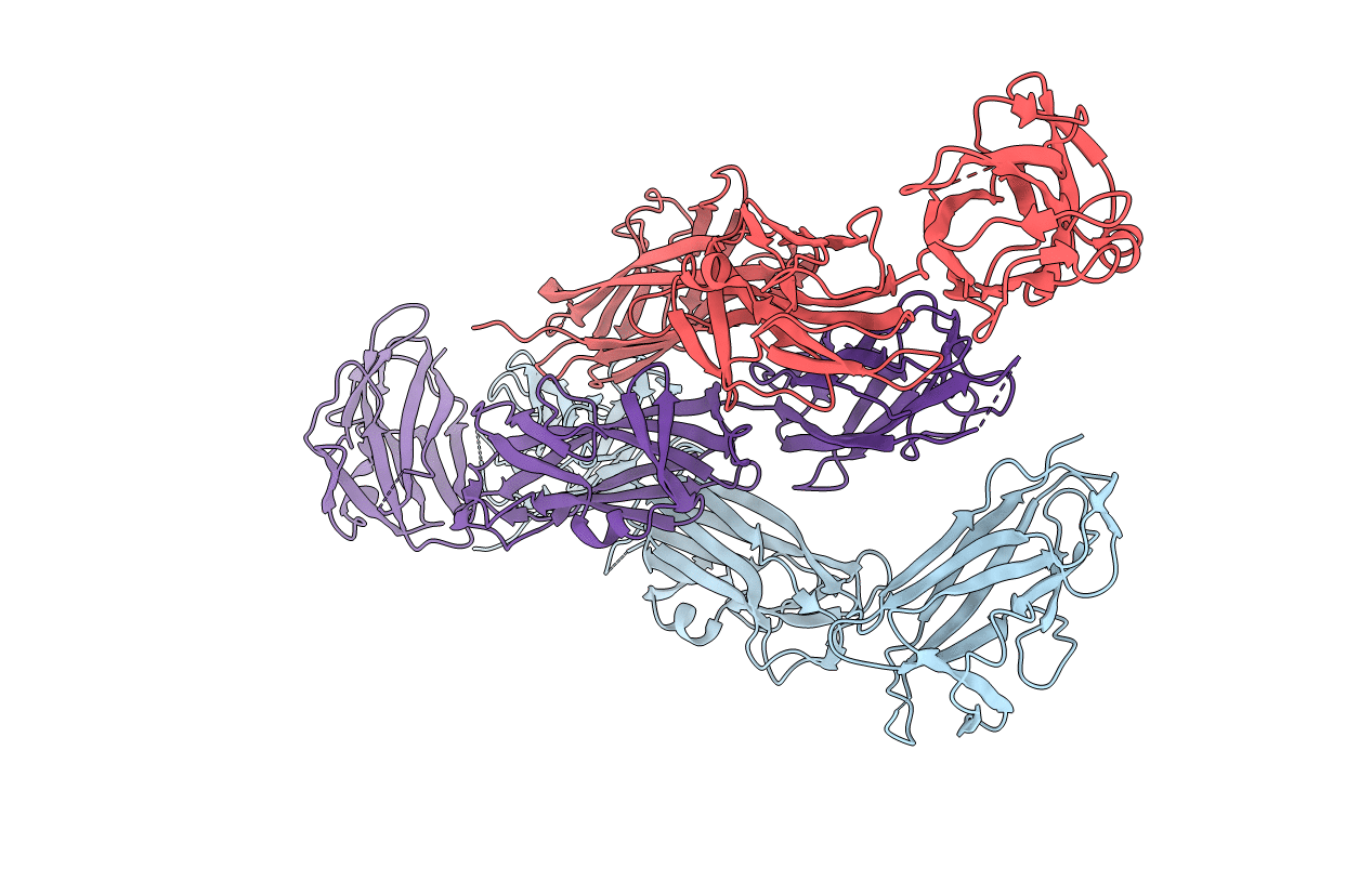 5Y9H image