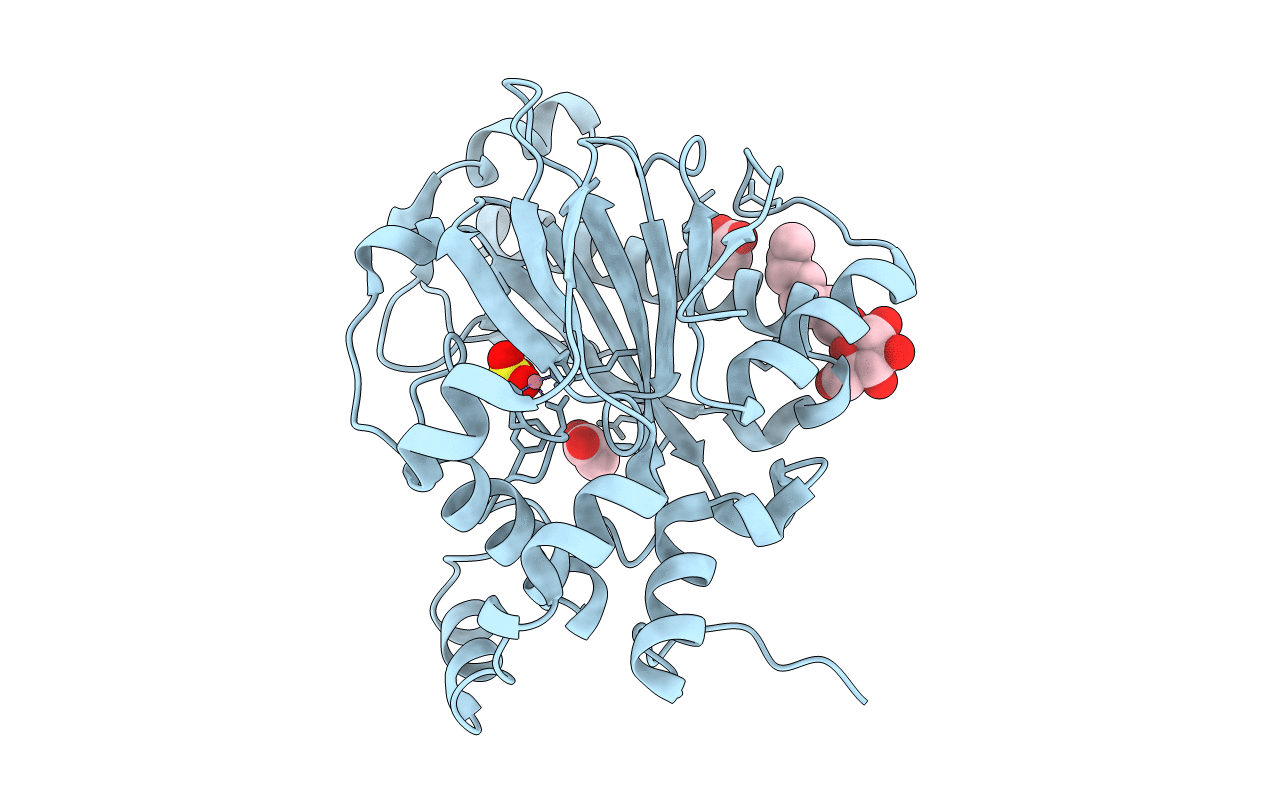 5Y9I image