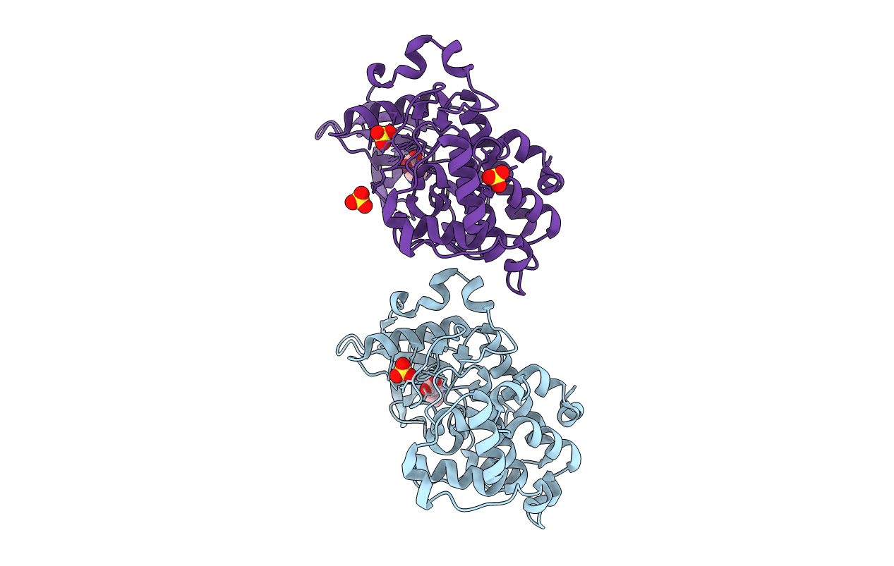 5Y9M image