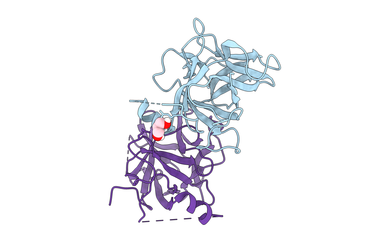5Y9V image