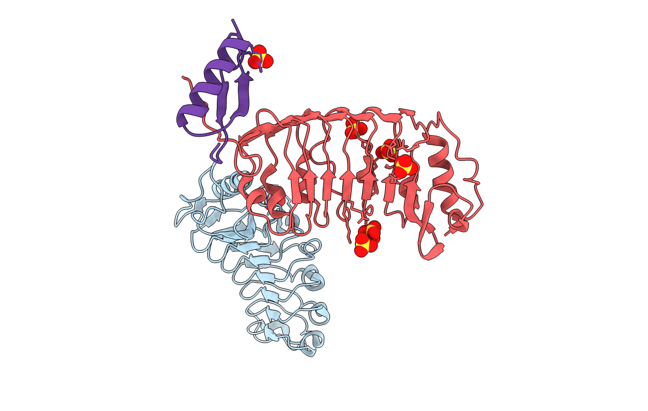 5Y9W image