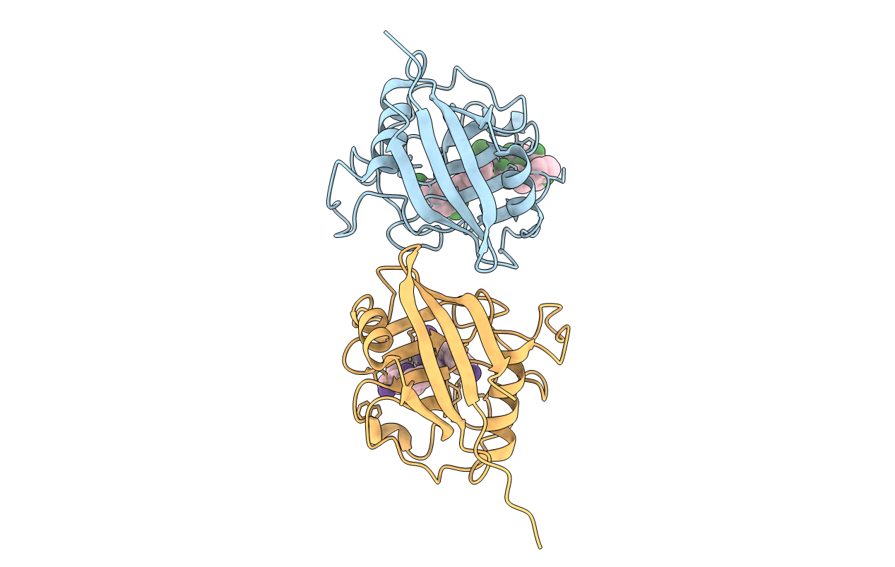 5YBA image