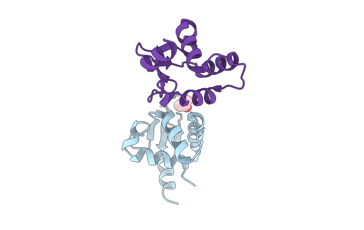 5YBC image