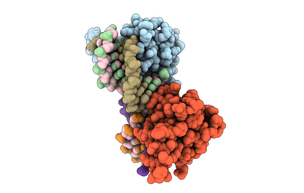 5YBD image