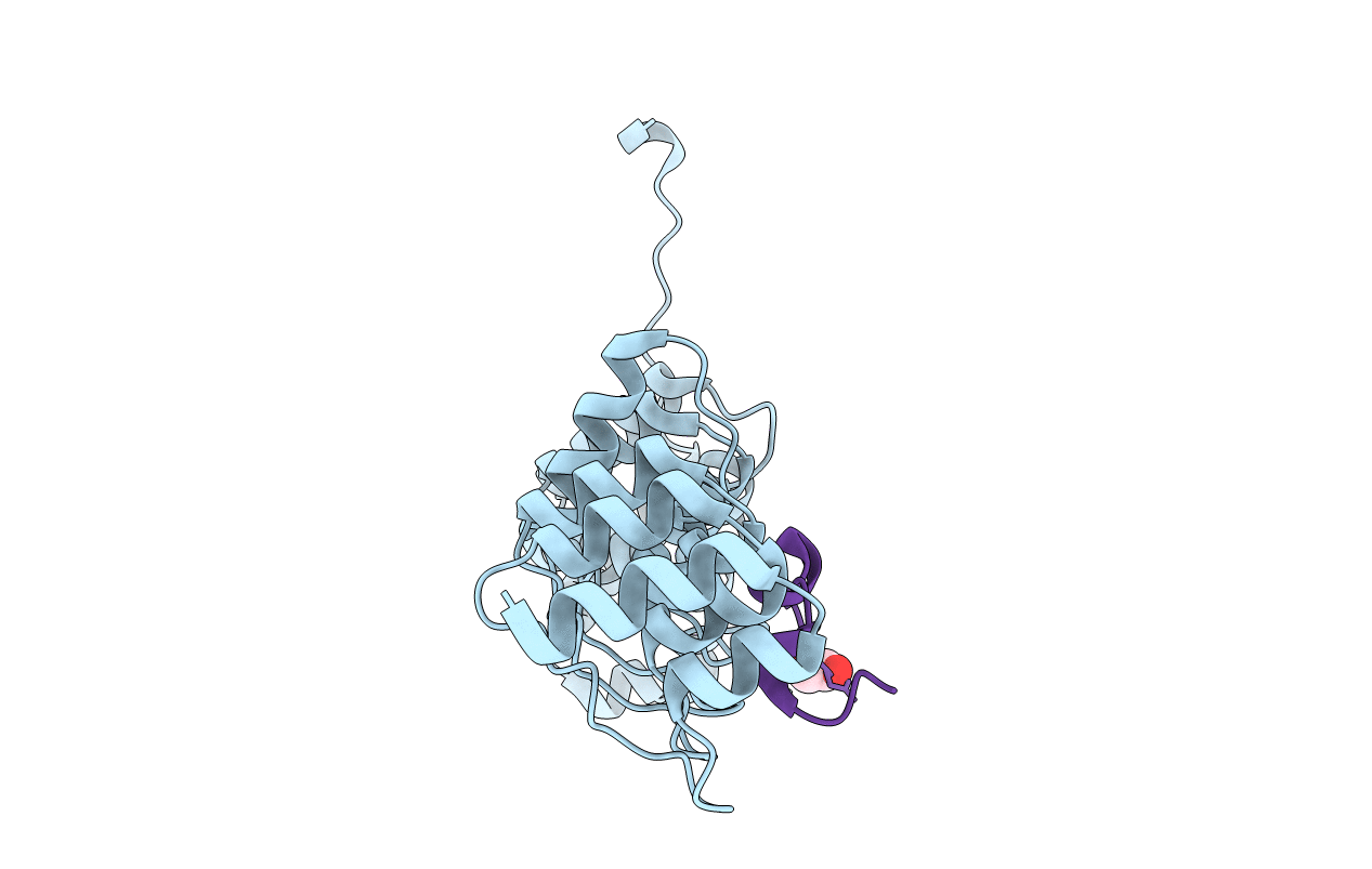5YBE image