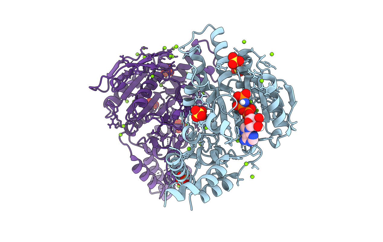 5YBI image