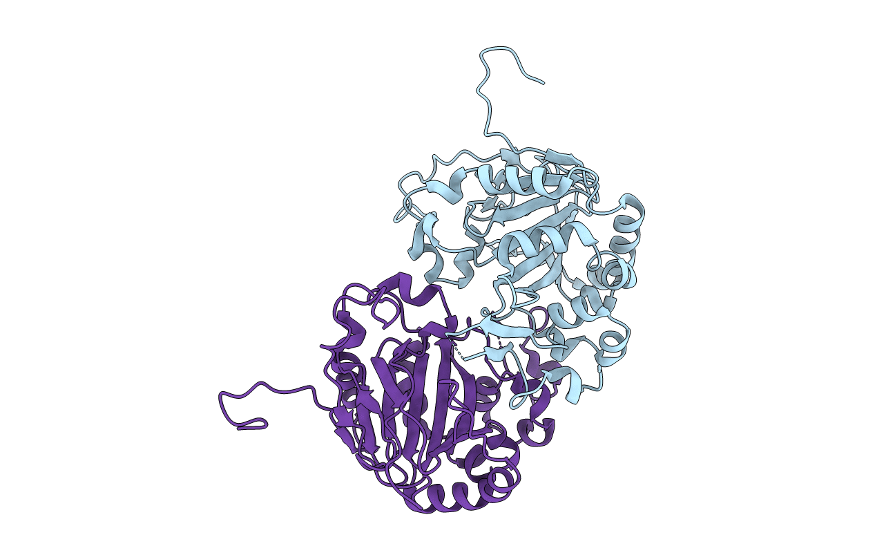 5YBM image
