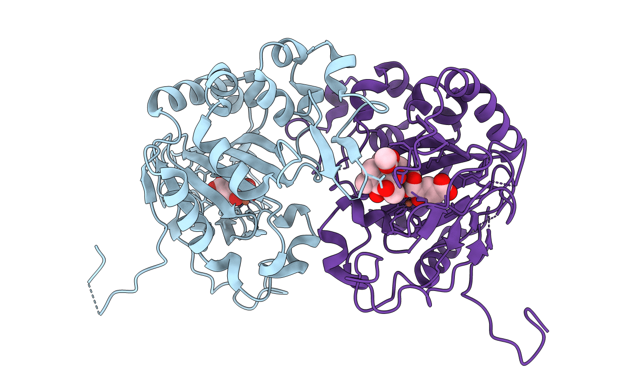 5YBS image