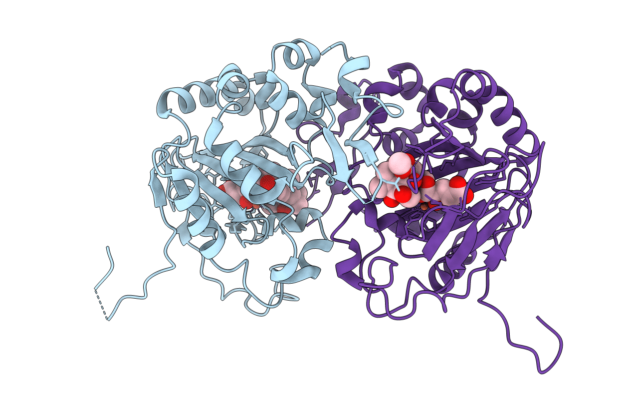 5YBT image