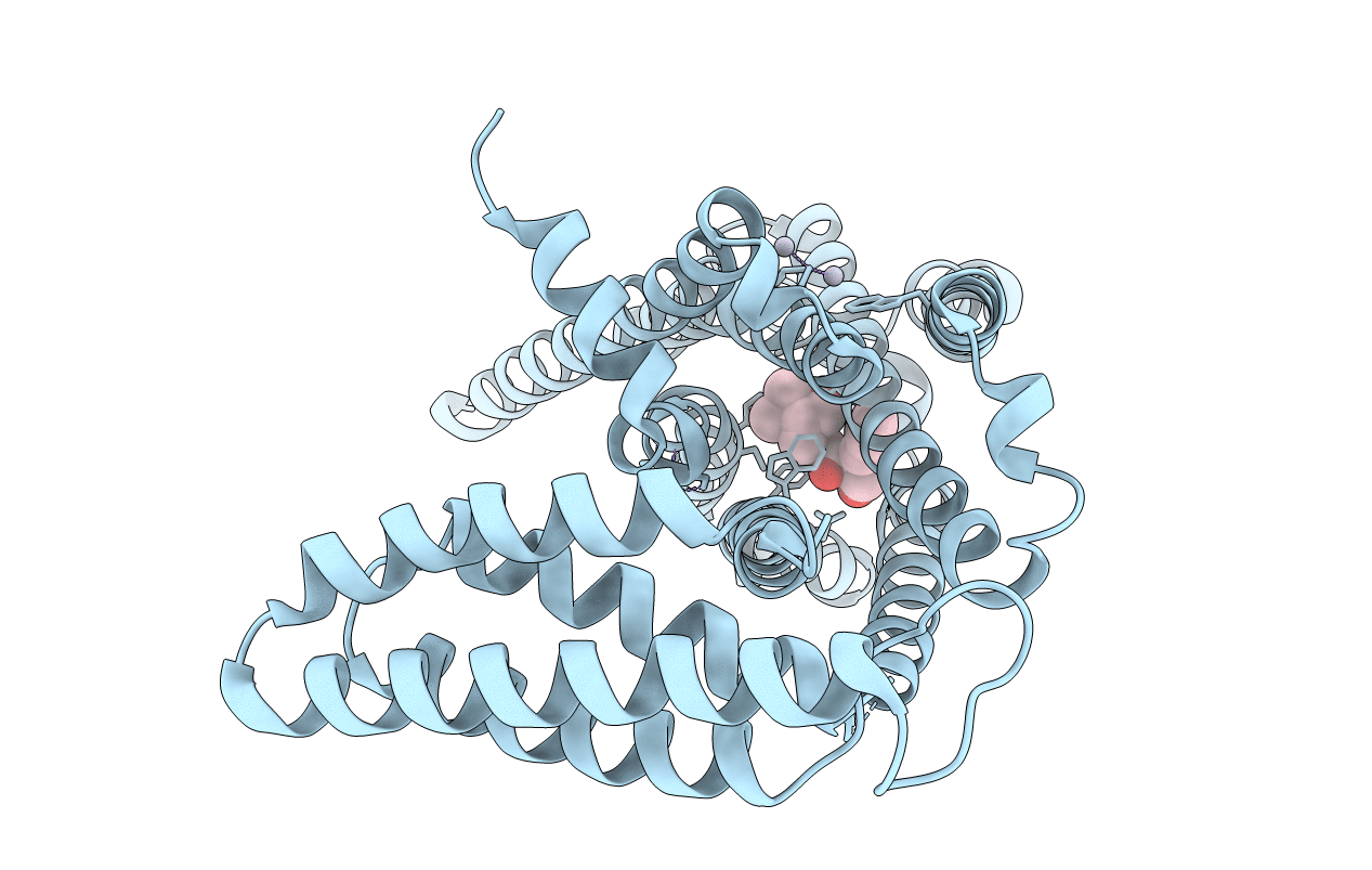 5YC8 image